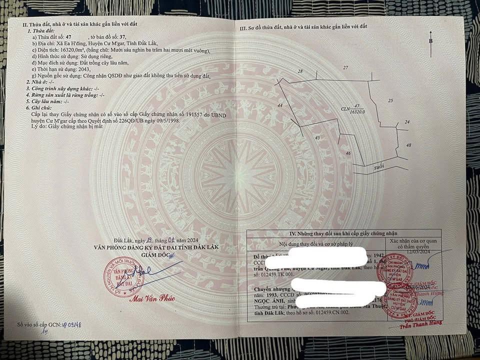 Farm 25.000m² Đắk Lắk - Sầu Riêng Thu Hoạch, Tiềm Năng Lớn