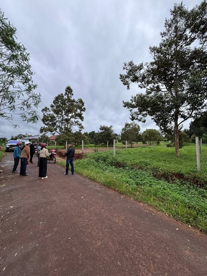 Đất nền Mạc Đăng Dung, Buôn Hồ 150m² - Đất thổ cư 100%