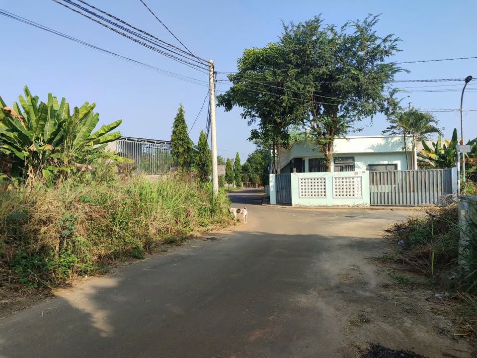 Đất Nền Mặt Tiền Nhựa Bình Lộc - Long Khánh, 105m² - Sổ Riêng Giá 1.05 Tỷ