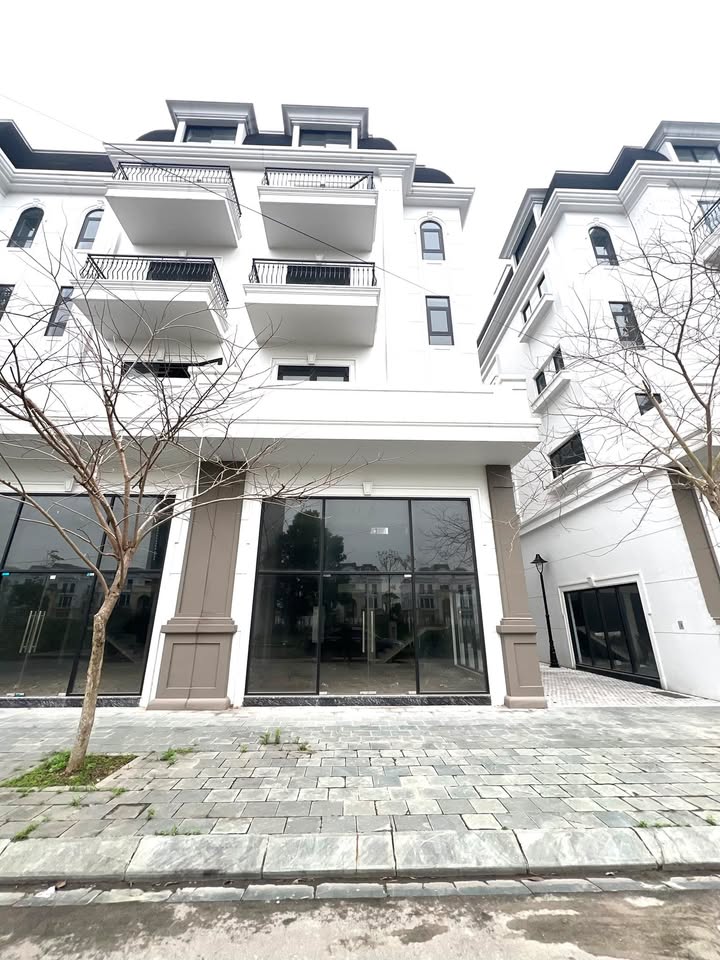 Shophouse Phố Đi Bộ TP Bắc Giang 119m² - Đầu tư sinh lời!