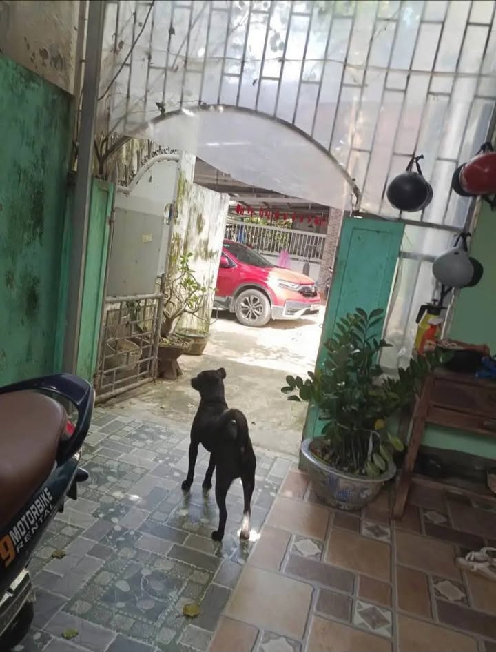 Nhà riêng Kiệt Đặng Tất Huế 3.5 triệu/tháng - Ô tô vào tận nhà!