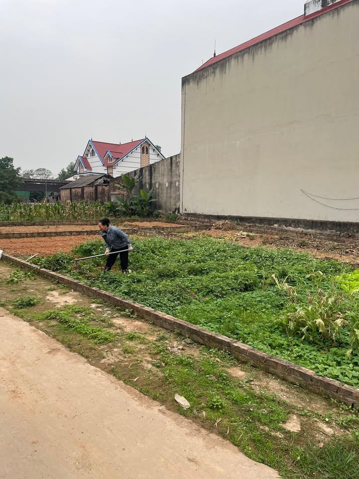 Đất nền 69m² Nam Lý, Sóc Sơn - Đường to ô tô, tiềm năng sinh lời!