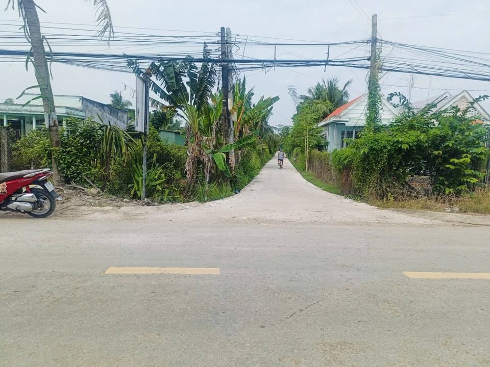 Đất nền Thanh Phú Bến Lức 280m² - Sổ đỏ chính chủ, đường ô tô tới đất!