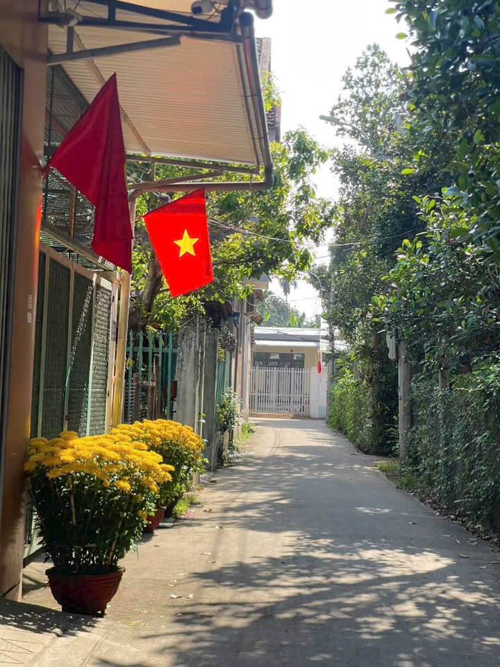 Đất Nền Lê Quý Đôn, Quảng Ngãi - 100m² Hướng Nam, Giá 1.39 Tỷ