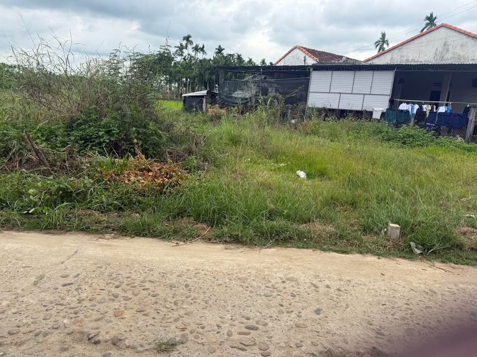 Đất Nền An Phú Quảng Ngãi 140m² - Sổ Đỏ Sẵn Sàng, Giá Đầu Tư 700 Triệu