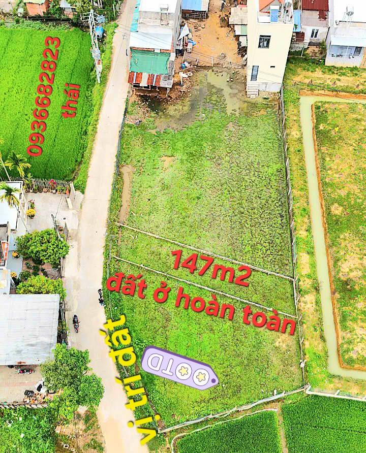 Đất Nghĩa Dõng Quảng Ngãi 315m² - Sổ Đỏ Sẵn Sàng, Giá 590 Triệu