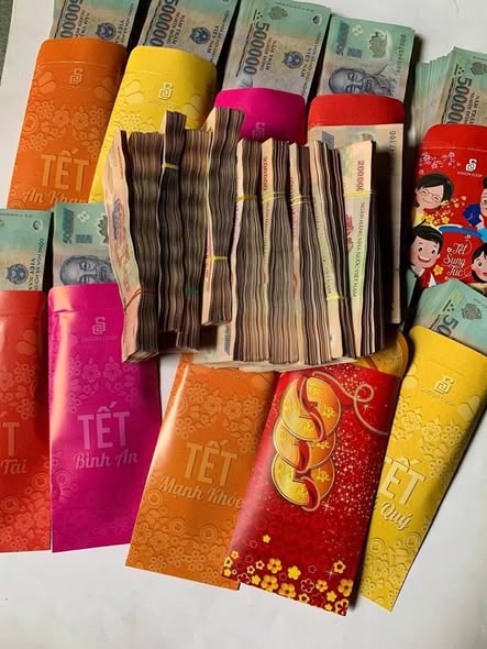 Shophouse Đường Đại Dương, Đông Anh (48m²) - Sổ Đỏ Sẵn Sàng Giao Dịch