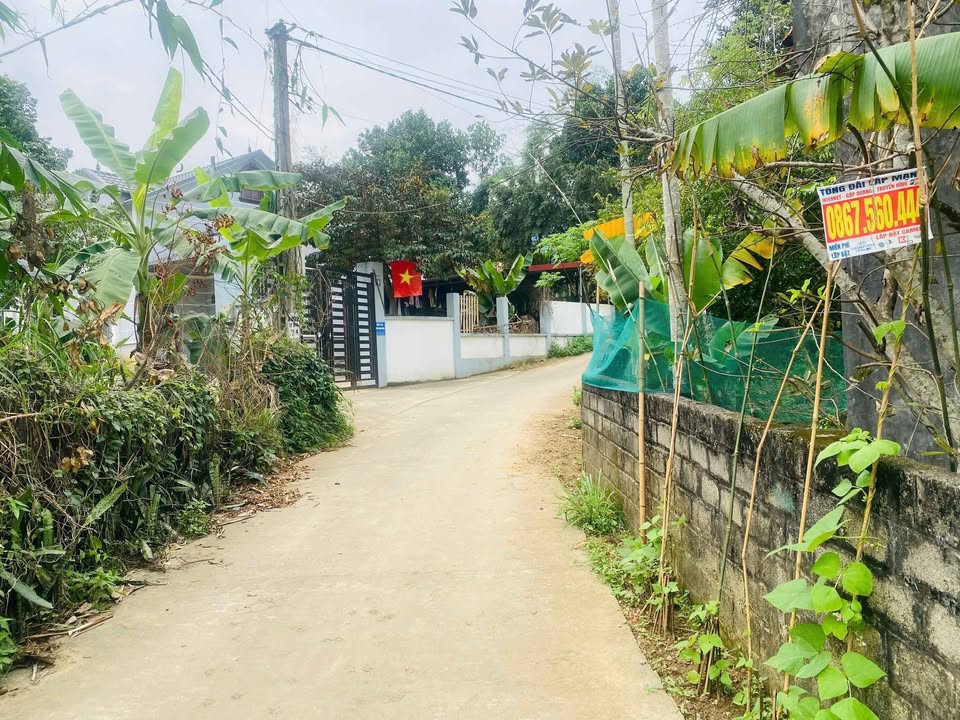 Đất Yên Bài Ba Vì - 206m² Sổ Đỏ Chính Chủ - Giá 2.5 Tỷ