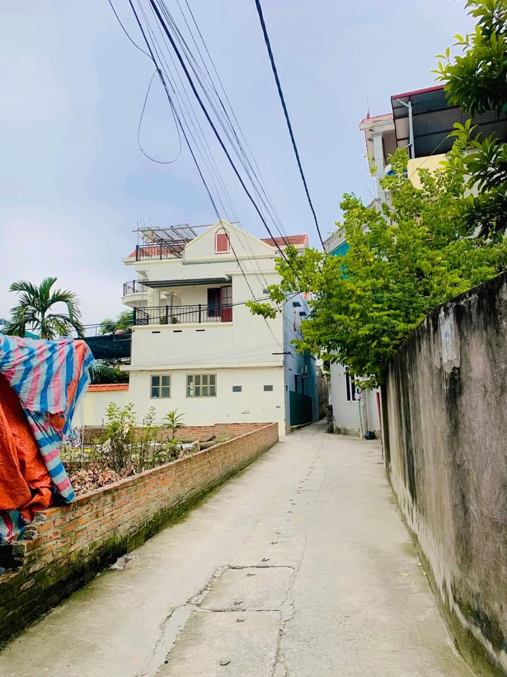 Đất Thổ Cư 100m² Lại Yên, Hoài Đức - Giá Rẻ Nhất Thị Trường 7 Tỷ