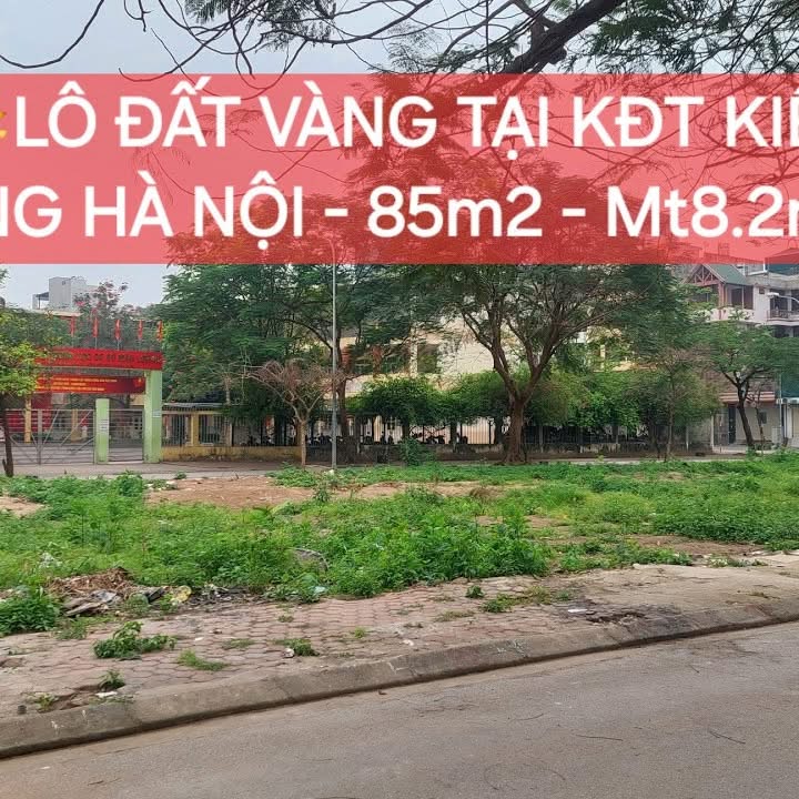 Đất nền Kiến Hưng Hà Đông 86m² - Sổ đỏ chính chủ, xây dựng tự do!