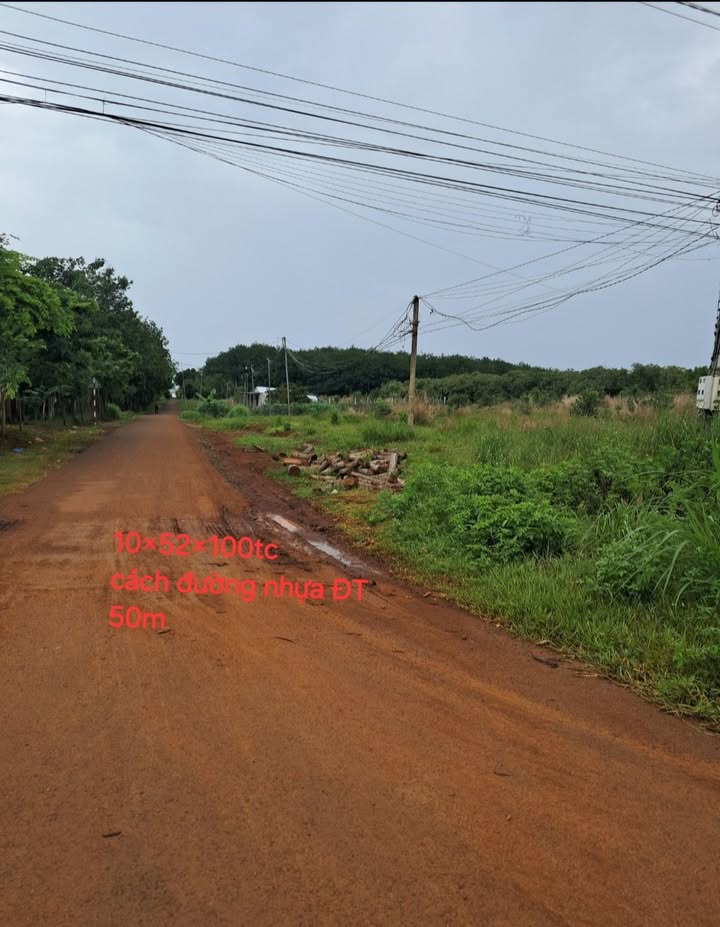 Đất Nền Vị Trí Đẹp Xã Phước Sơn, Bù Đăng - 5200m² Giá 400 Triệu