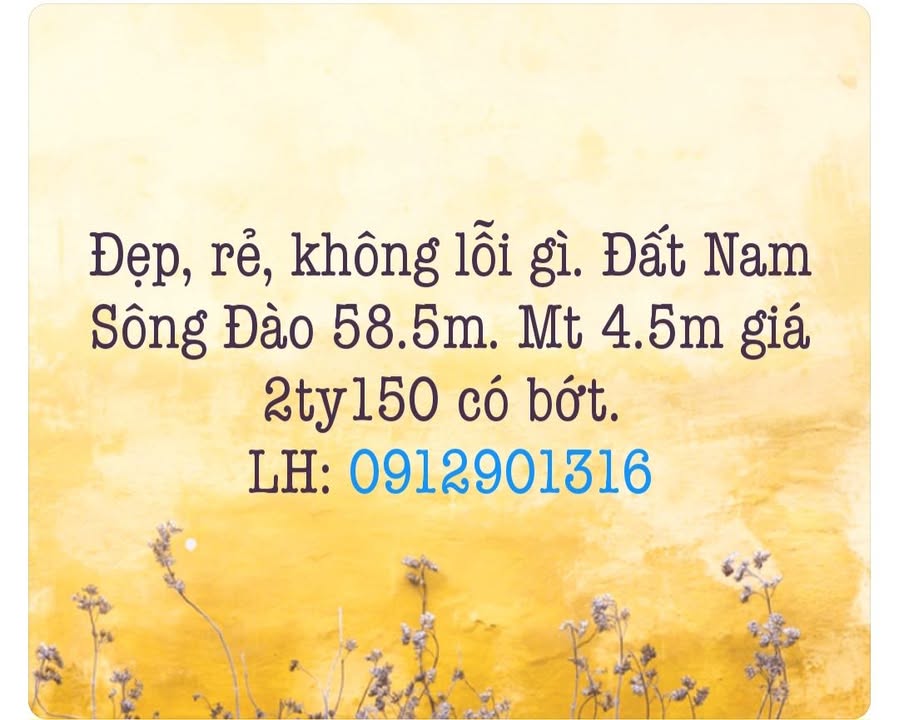 Bán Đất Nam Sông Đào, Nam Định 58.5m² - Giá 2.15 Tỷ, Sẵn Sổ