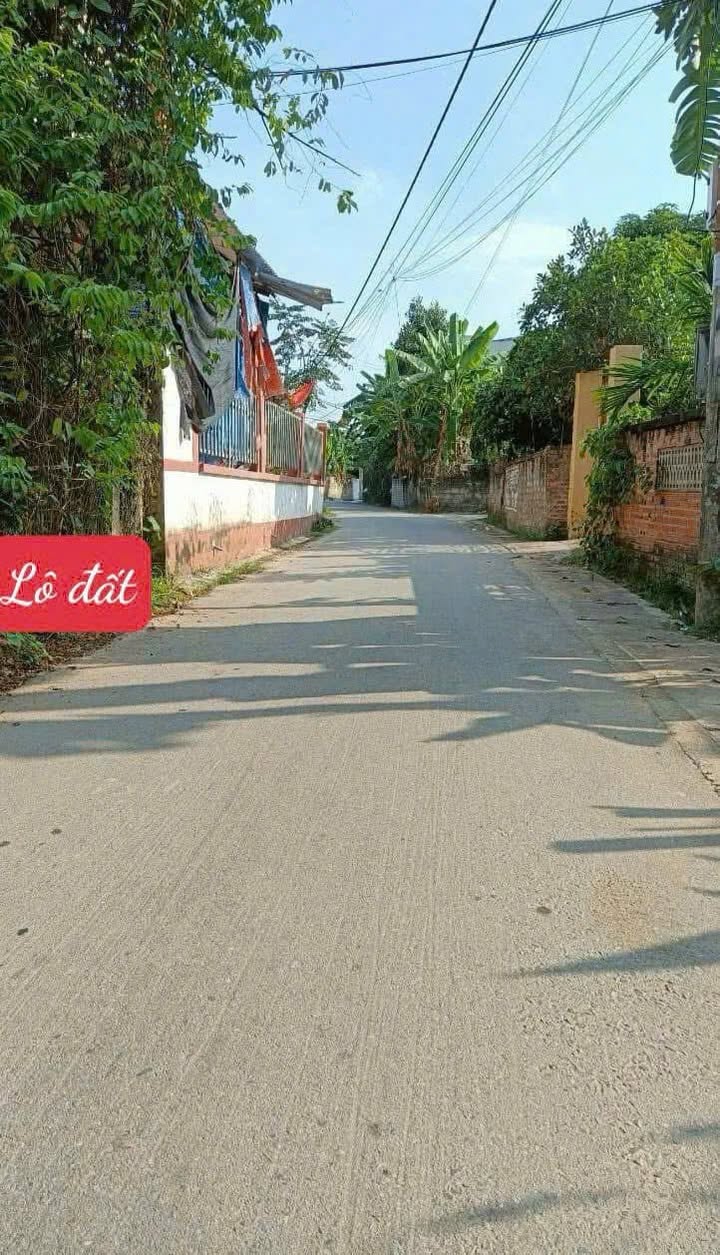 Đất Nền Vĩnh Phúc - 98.5m² Tam Hợp, Bình Xuyên - Tiềm Năng Sinh Lời Cao