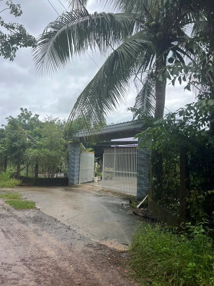 Đất Vườn 3600m² Hòa Hội, Tây Ninh - Giá Tốt 2.5 Tỷ, Có Thổ Cư