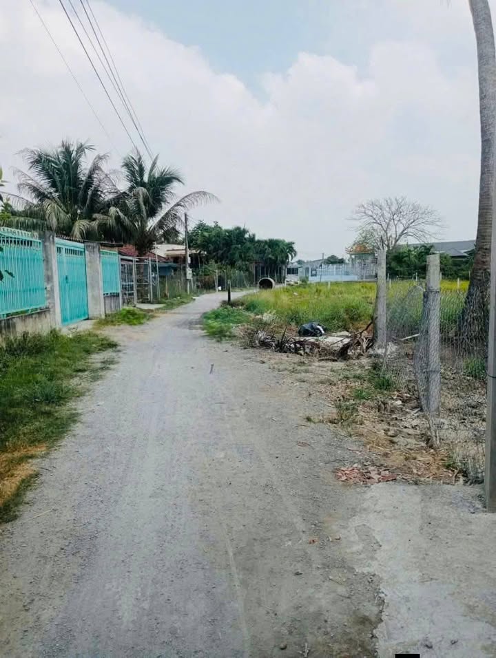 Đất vườn Bến Lức 300m² - Tiềm năng lên thổ, giá tốt!