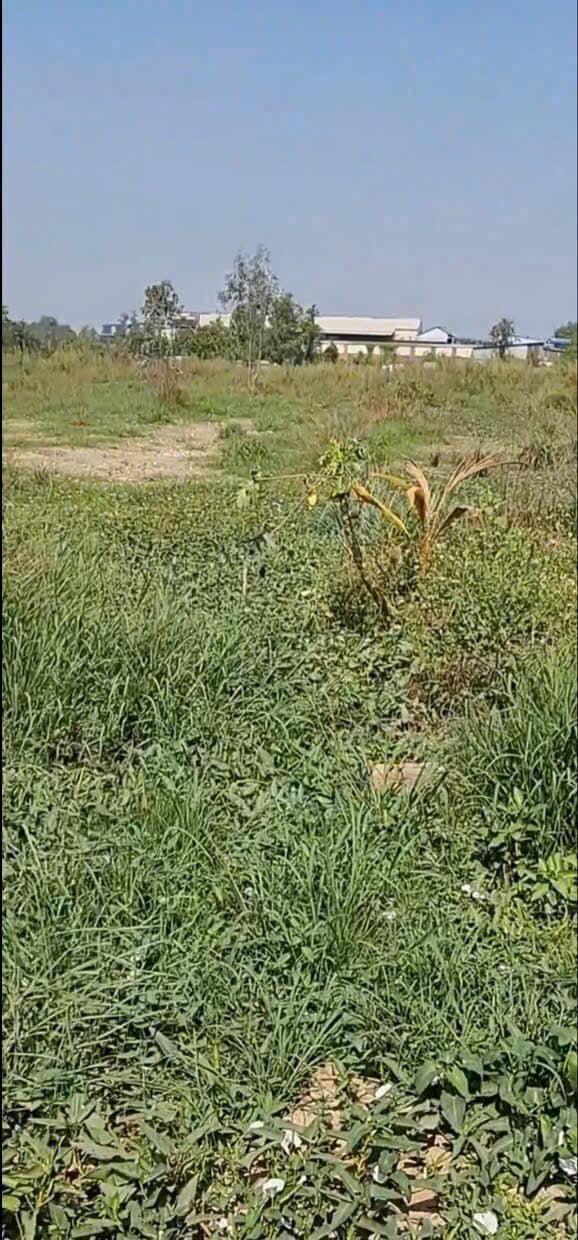 Bán Gấp Đất Vàng Bình Chánh 7715m² Mặt Tiền Trần Đại Nghĩa - Tiềm Năng Sinh Lời Cao