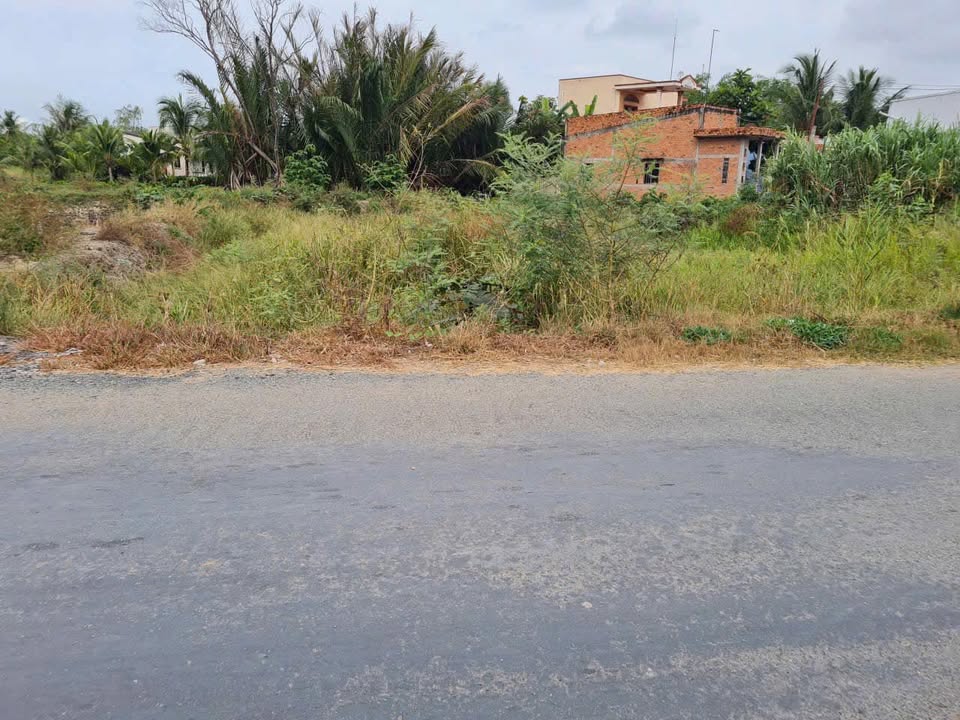 Đất nền Cần Đước Long An 1400m² - Mặt tiền nhựa, sổ hồng chính chủ