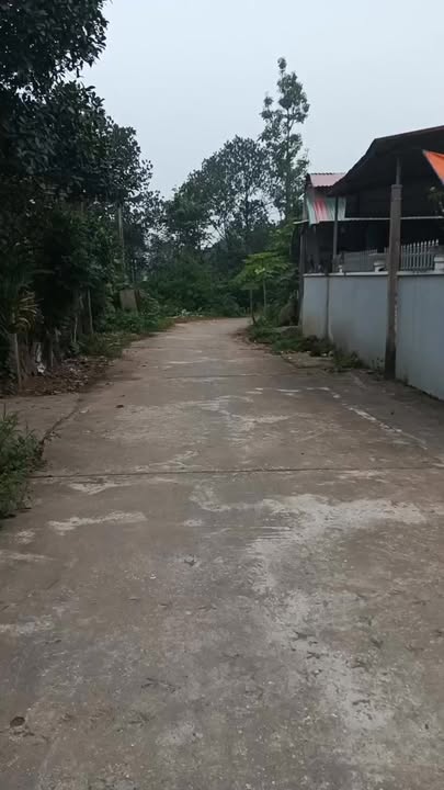 Bán đất Tràng Cát, Thanh Oai 76m² - Ô tô vào tận nơi, giá chỉ 1 tỷ