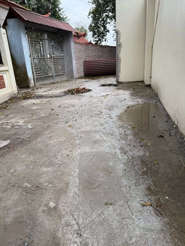 Bán Đất Như Quỳnh 41m² - Lô Góc, Vài Bước Chân Ra Chợ Tuấn Dị