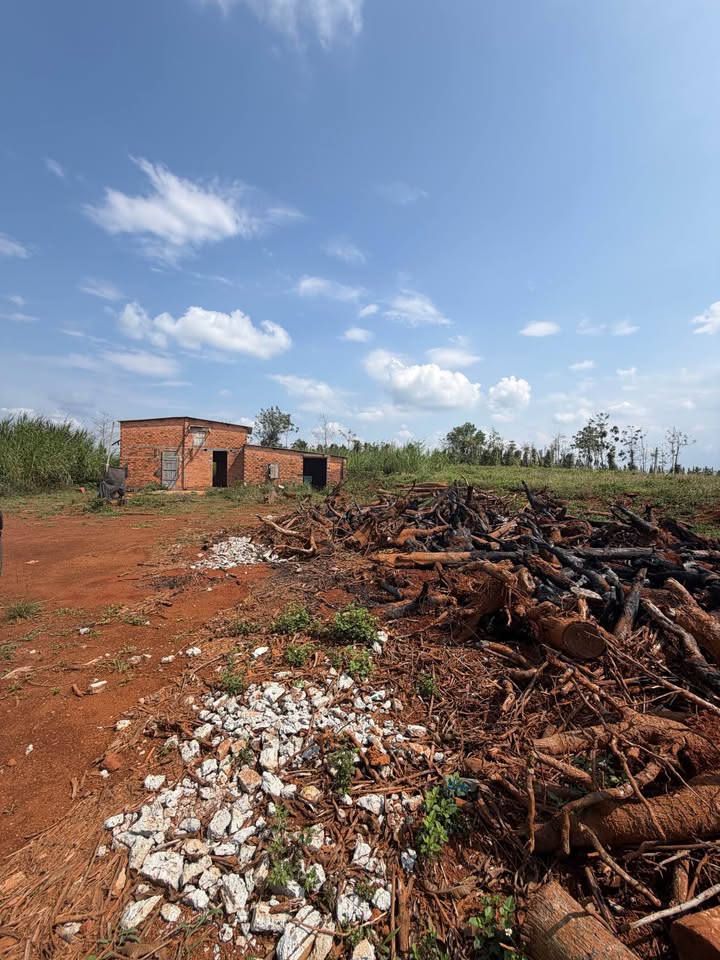 Bán Gấp Đất Nông Nghiệp Đắk Mil 3ha - Sẵn Sàng Kinh Doanh