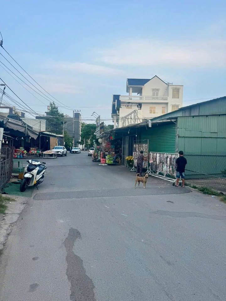 Đất vàng chợ đêm Hòa Lân - 97.7m² kinh doanh đỉnh cao