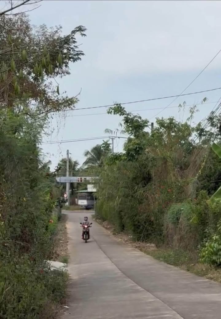 Đất nền Tân Phú, Đồng Nai - 250m² thổ cư, mặt tiền bê tông, sổ riêng