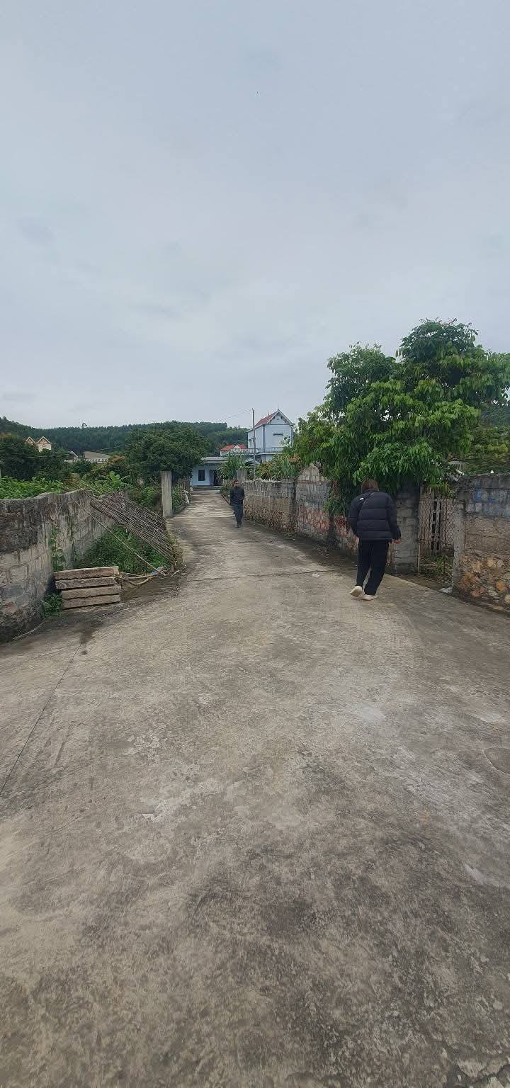 Đất Nền Lục Nam, Bắc Giang 1000m² - Cơ Hội Đầu Tư Vàng