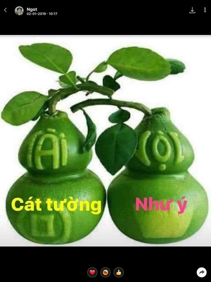 Nhà Mặt Tiền Kênh Cây Xanh - 300m² - Sổ Hồng - Chỉ 3 Tỷ