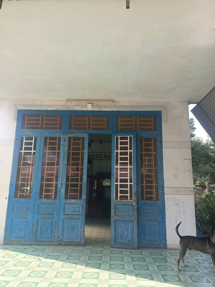 Đất Nền Mặt Tiền ĐT 795, Đồng Tháp - 336m², Giá 1.56 Tỷ