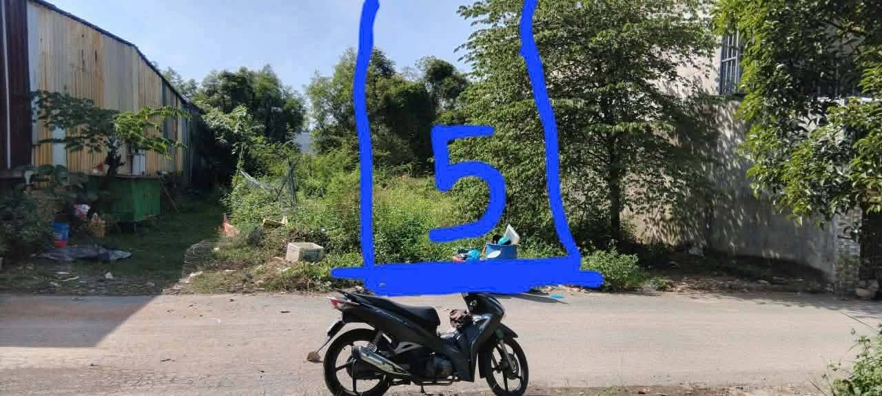 Đất Thổ Cư Hố Nai 100m² - Sổ Riêng, Giá Hơn 1 Tỷ, Gần Trường Lê Đình Chinh