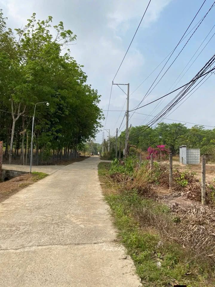 Đất An Lộc Chơn Thành 165m² 210 triệu - Tiềm năng tăng giá!