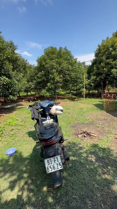 Bán Gấp Nhà Vườn 8.4 Sào Bình Phước - Dòng Tiền 400 Triệu/Năm