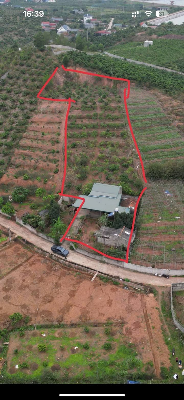 Đất vườn Phường Chũ, Lục Ngạn 2689m² - Nghỉ dưỡng lý tưởng!