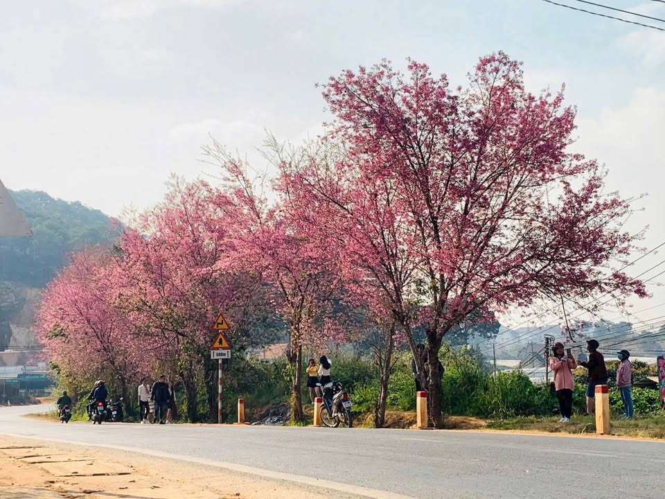 Đất Nền View Đập Lộc Quý - Đà Lạt 500m² Giá Tốt