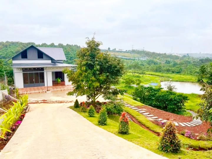 Nhà Vườn Lộc An Bảo Lộc 8170m² - Nghỉ dưỡng lý tưởng!