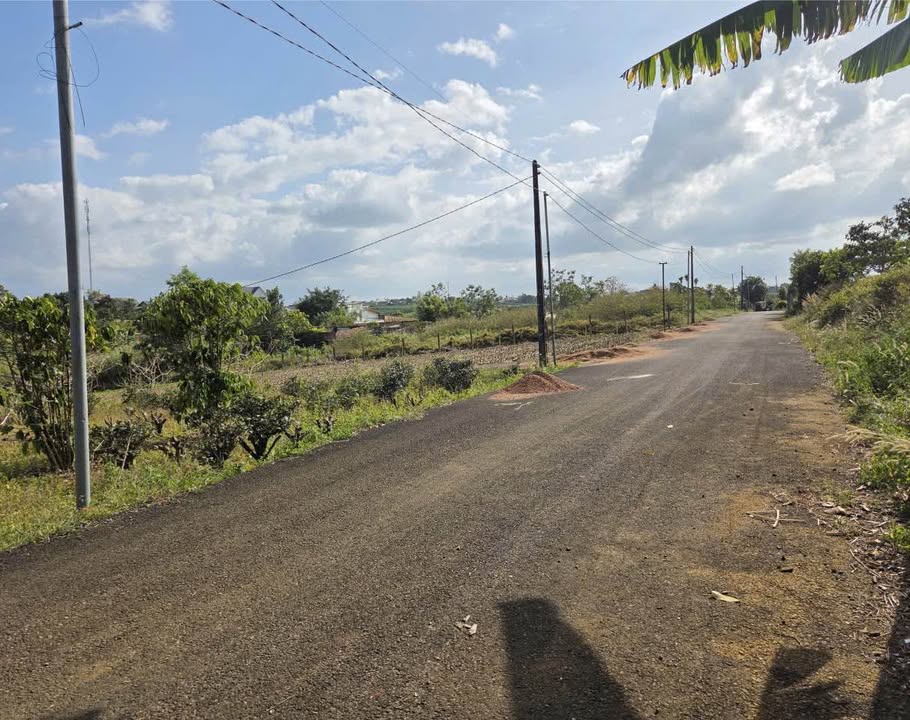 Đất nền Hẻm Lý Thái Tổ Bảo Lộc 340m² 2 tỷ - Pháp lý rõ ràng