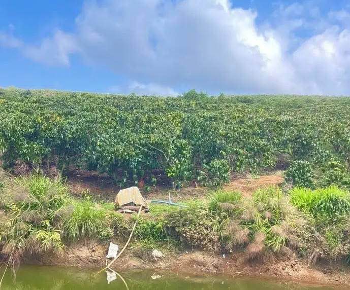 Đất nền Lộc Ngãi, Bảo Lâm 2.8ha - Đường to ô tô, tiềm năng đầu tư!