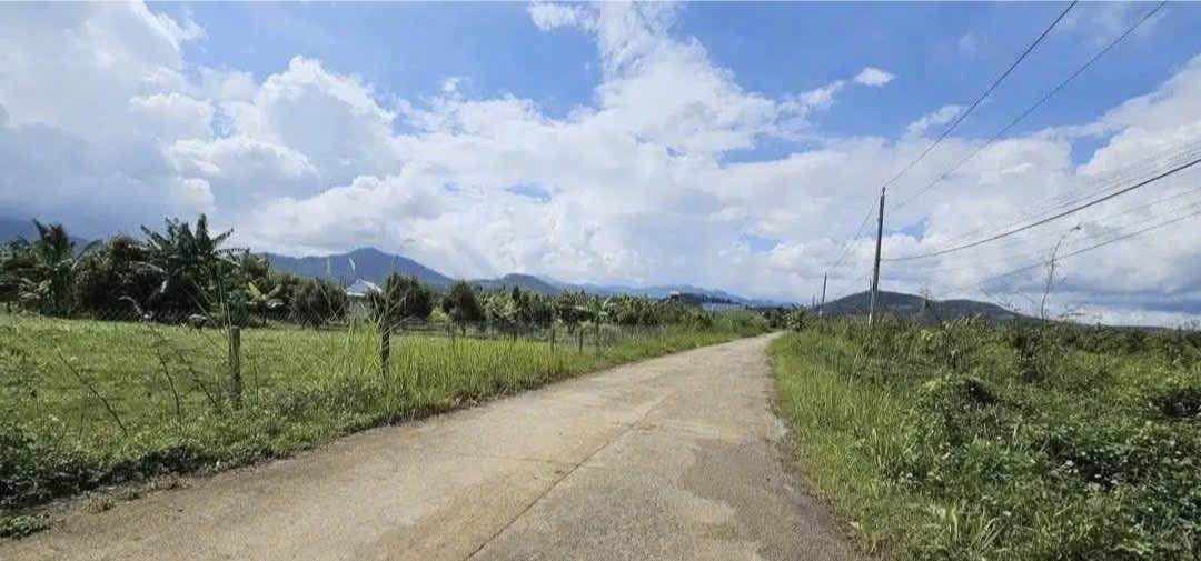 Bán Đất Vườn Bảo Lộc 900m² - Sổ Hồng Riêng, Giá Chỉ 1.6 Tỷ