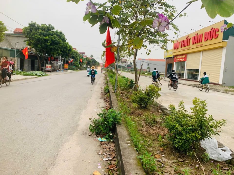 Đất Nền Tứ Kỳ, Hải Dương 100m² - Sổ Đỏ Chính Chủ, Giá Tốt