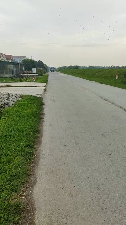 Đất Nền Mặt Tỉnh Lộ 391, Khoái Châu - 100m², Sẵn Sàng Kinh Doanh