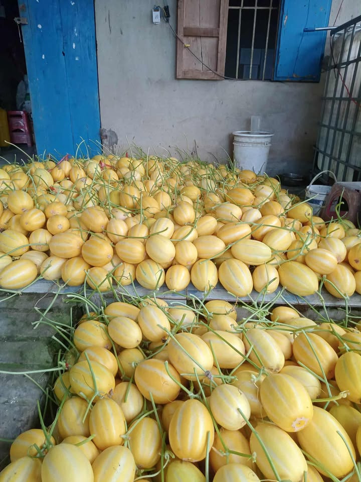 Nhà nguyên căn Xã Tân Hiệp, Phú Giáo - Sẵn sàng an cư!