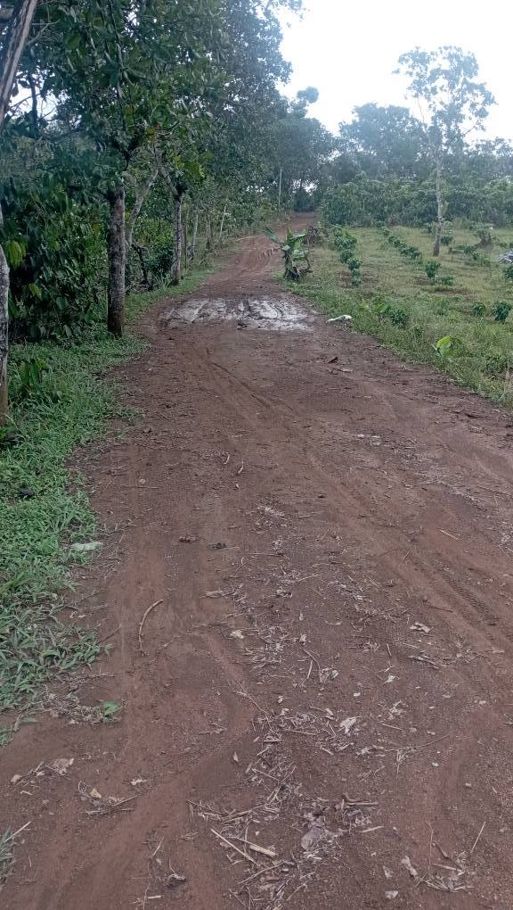 Đất Vườn Đắk Nông 17.000m² - Sổ Đỏ Sẵn Sàng, Gần Suối Mát