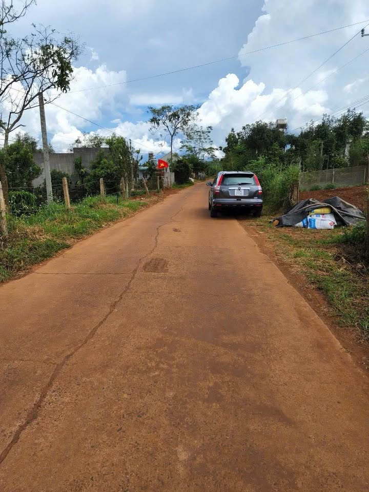 Bán Gấp 2 Sổ Hồng Đất Vườn Lâm Hà, Lâm Đồng - 4000m² Giá Tốt