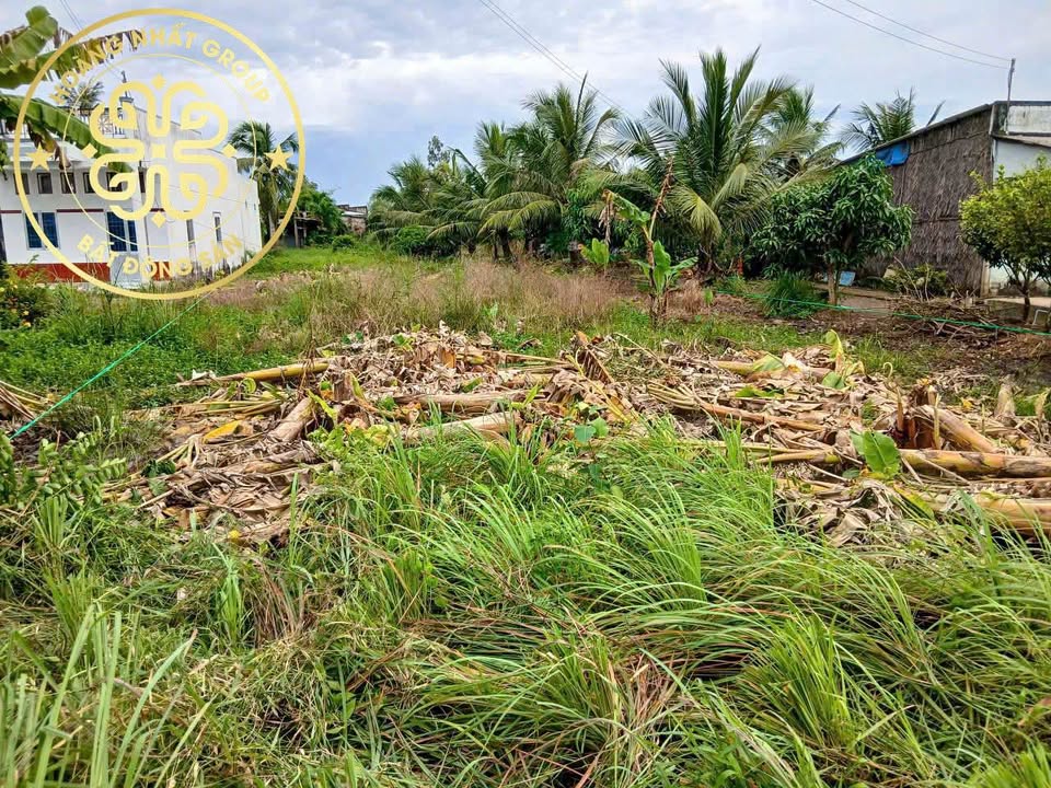 Đất nền An Xuyên Cà Mau 556.8m² – Pháp lý rõ ràng, sổ sẵn!