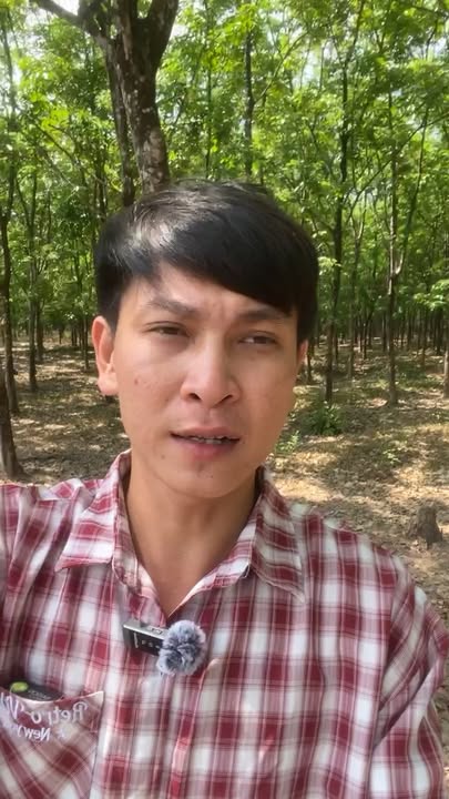 Đất Trảng Bom 468m² - Mặt tiền nhựa 6m, Đối diện KCN Bàu Xéo 2, Giá 4.5 Tỷ