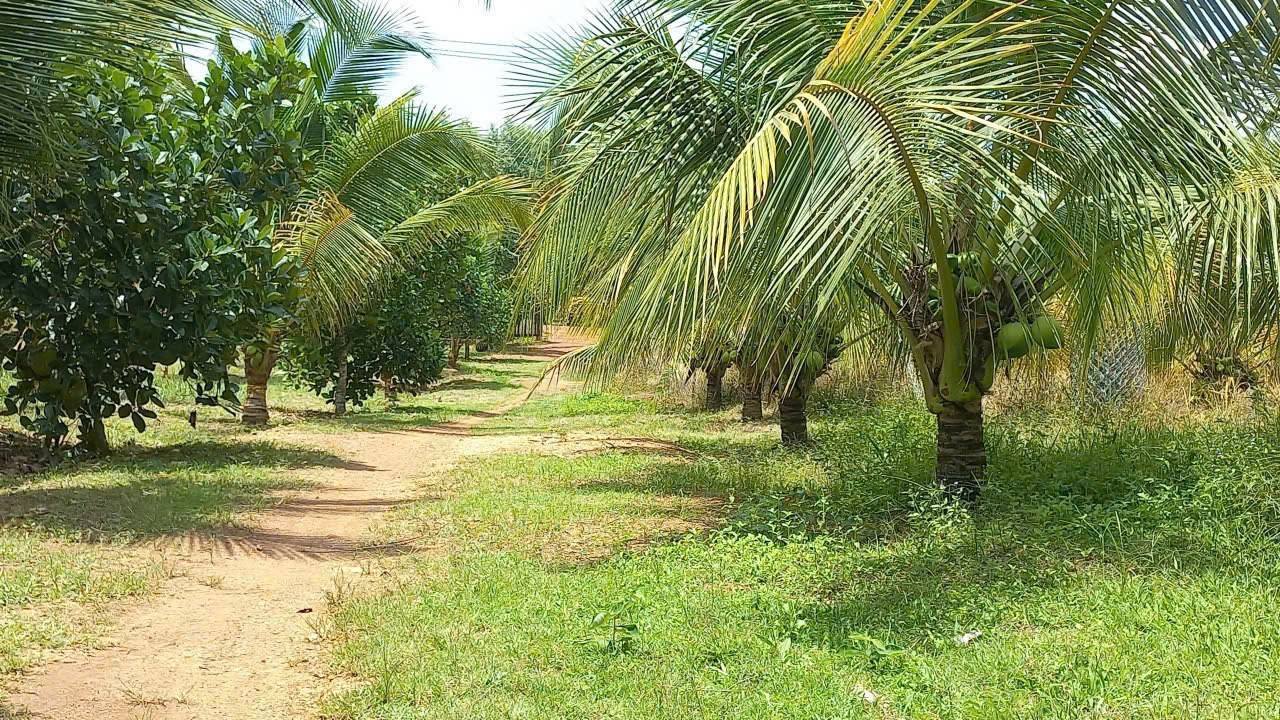 Farm Trị An Vĩnh Cửu 1800m² giá 3.25 tỷ - Sổ đỏ chính chủ