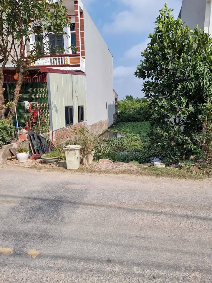 Đất nền Vĩnh Hưng, Bình Giang 100m² - Tiềm năng tăng giá vượt trội!