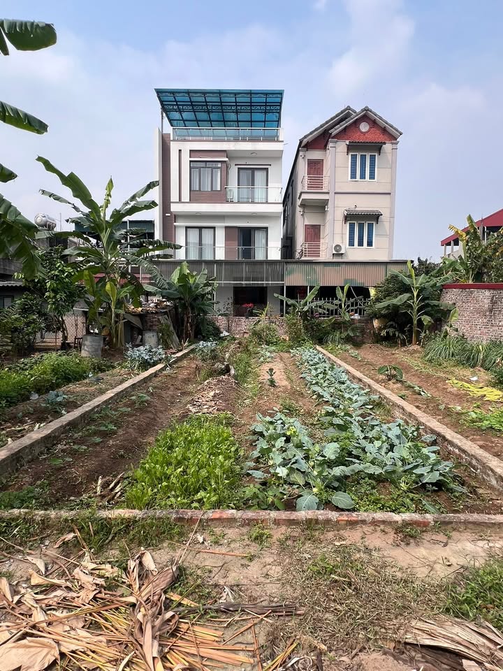 Đất Nền Đông Anh 76.5m² - Mặt Tiền 5m - Ô Tô Đỗ Cửa - Giá Đầu Tư F0