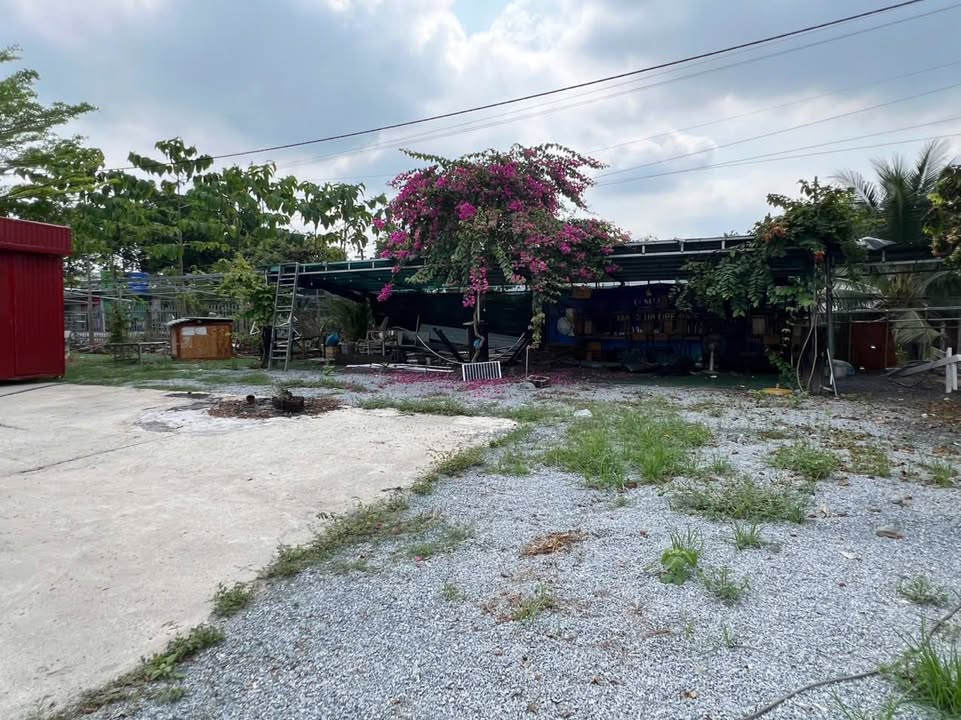 Mặt Bằng Kinh Doanh Góc 2MT Tân Thông Hội, Củ Chi - Sẵn Sàng Cafe/Trạm Sạc