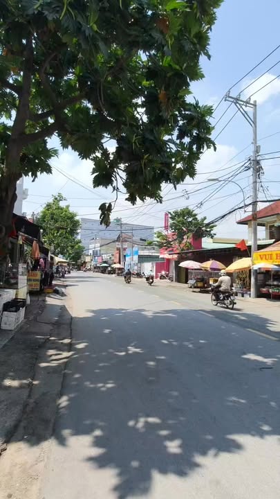 Tòa Nhà Mặt Tiền Trần Thị Cờ, Q12 - 7 Tầng, 255m², 35.9 Tỷ